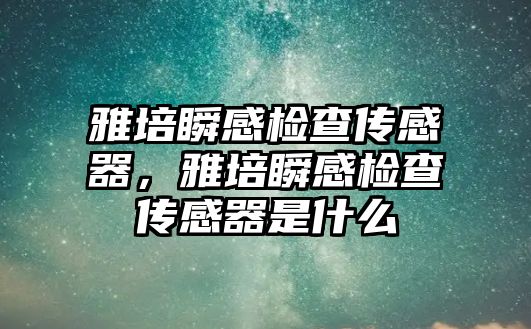 雅培瞬感檢查傳感器，雅培瞬感檢查傳感器是什么